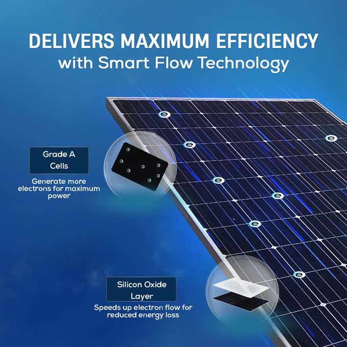 Product Image | Luminous